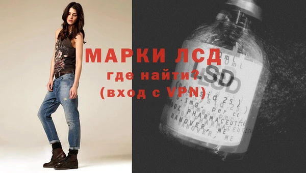 шишки Белоозёрский