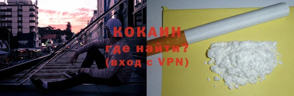 шишки Белоозёрский