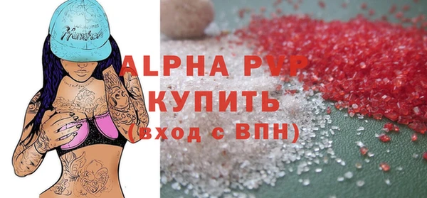 шишки Белоозёрский