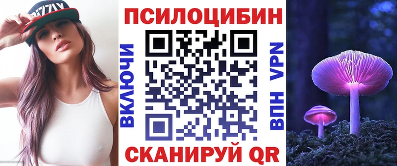 Псилоцибиновые грибы Psilocybe  Верхняя Пышма 